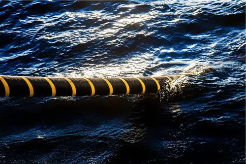 2017-2021�꺣���L���|�Ј�������16.52%